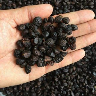 Hạt dổi siêu thơm (dùng thử 5 hạt) + Tặng hạt mác khén