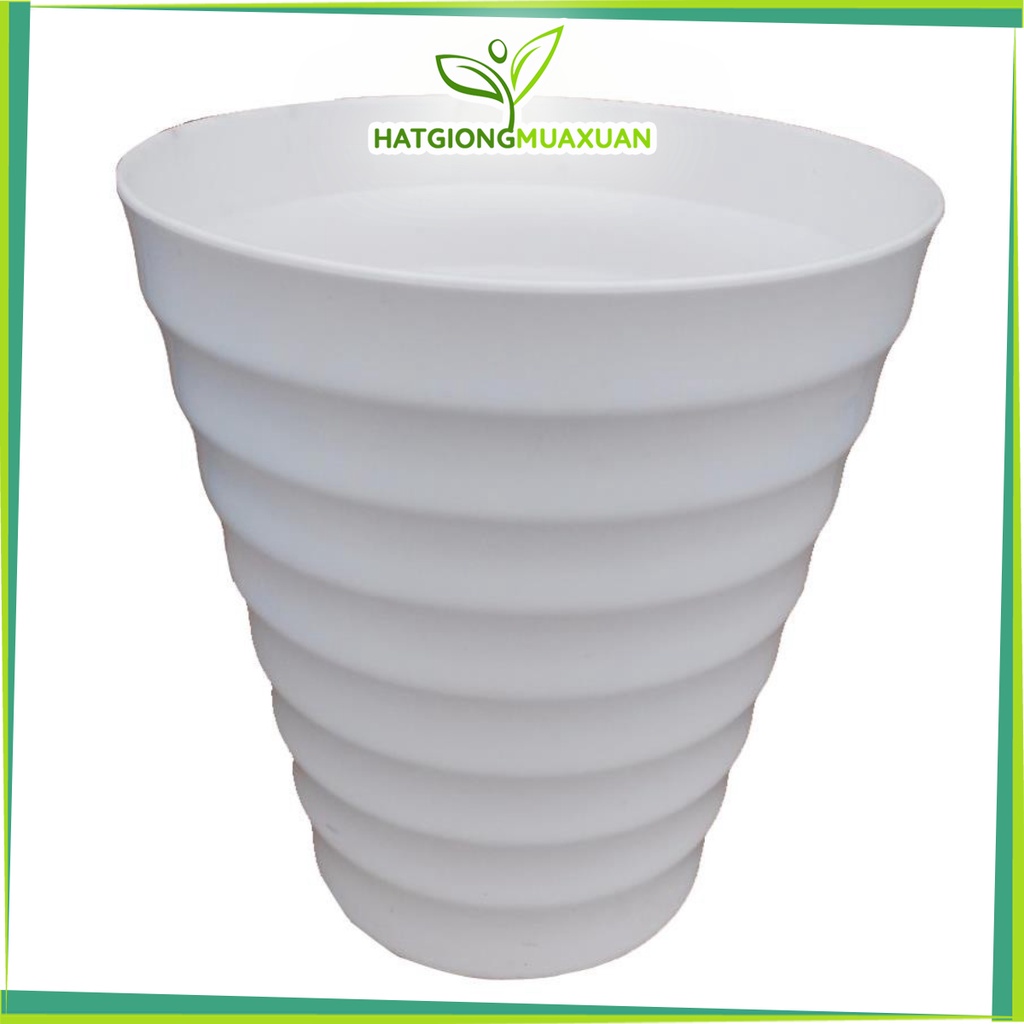 Set 02 Chậu nhựa tròn cao xoắn trồng hoa 24cm x cao 30cm xw c/lượng, hg C/ty.