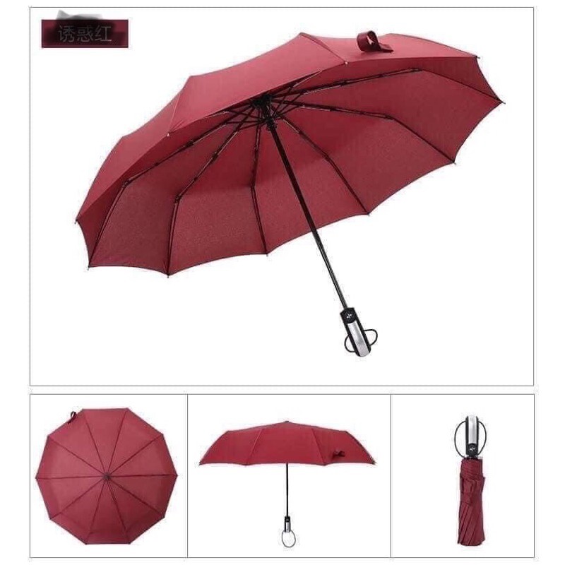 ❤️❤️❤️[Free Ship]Ô tự động xuất Nhật Bản