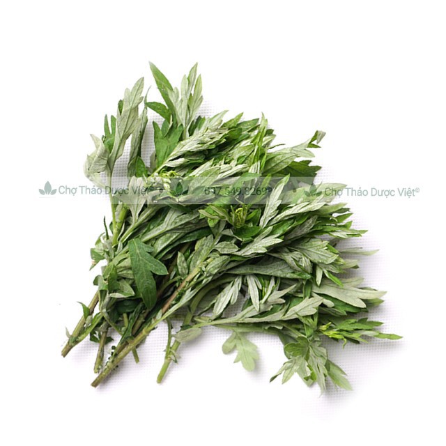 Ngải cứu khô, thơm, nguyên lá 500g - Chợ Thảo Dược Việt