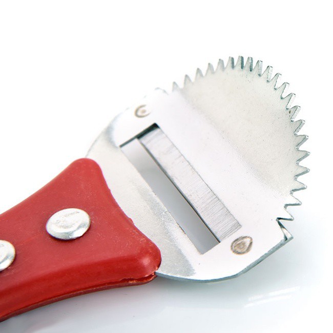 Dụng cụ nạo dừa tròn có cán bằng gỗ