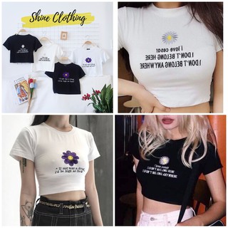 [ Inbox trước để chọn màu] Áo Crop top thun gân , thun trơn xinh xắn Shine Clothing
