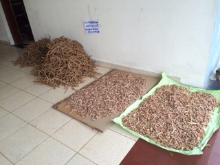 Củ ba kích đã làm sạch bỏ lõi