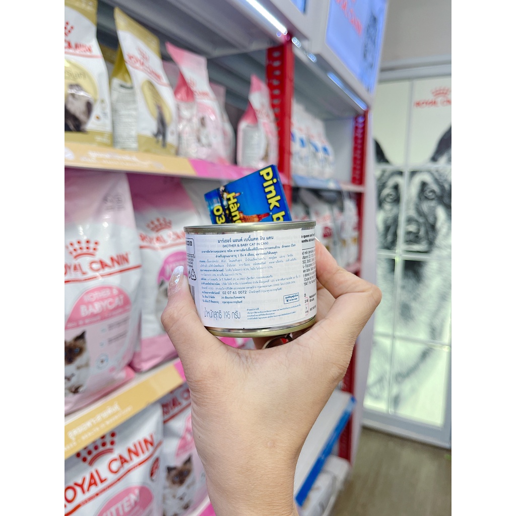(Giá Sỉ ) PATE ROYAL CANIN MOTHER &amp; BABYCAT 195G
