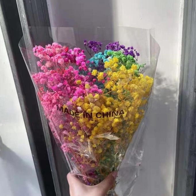 Hoa Baby Bloom trắng tuyết hoa khô trang trí phòng, decor