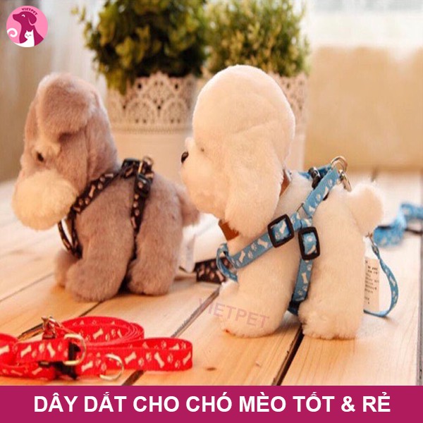 DÂY DẮT ĐAI NGỰA CHO CHÓ, MÈO