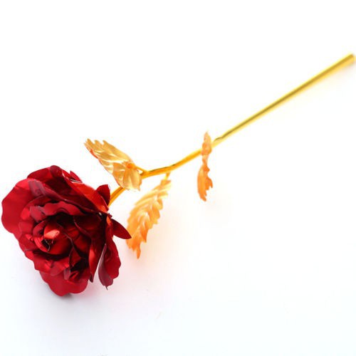 Surf Hoa hồng lá vàng quà tặng người yêu thương