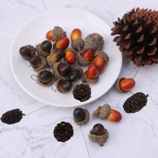 Phụ kiện chụp ảnh Hạt sồi
