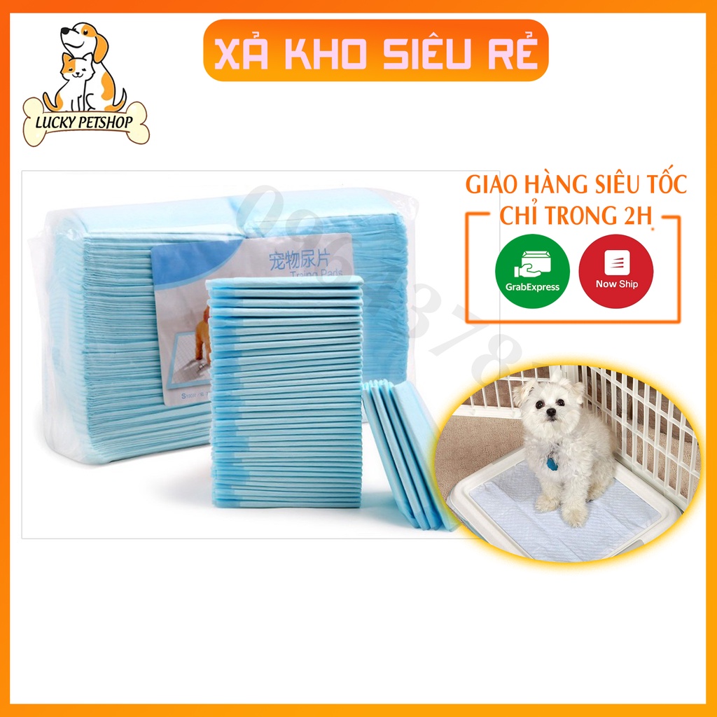 TẢ LÓT KHAY VỆ SINH 1 BICH 100 MIẾNG