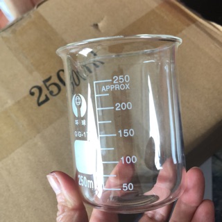 12 cốc chịu nhiệt 250ml