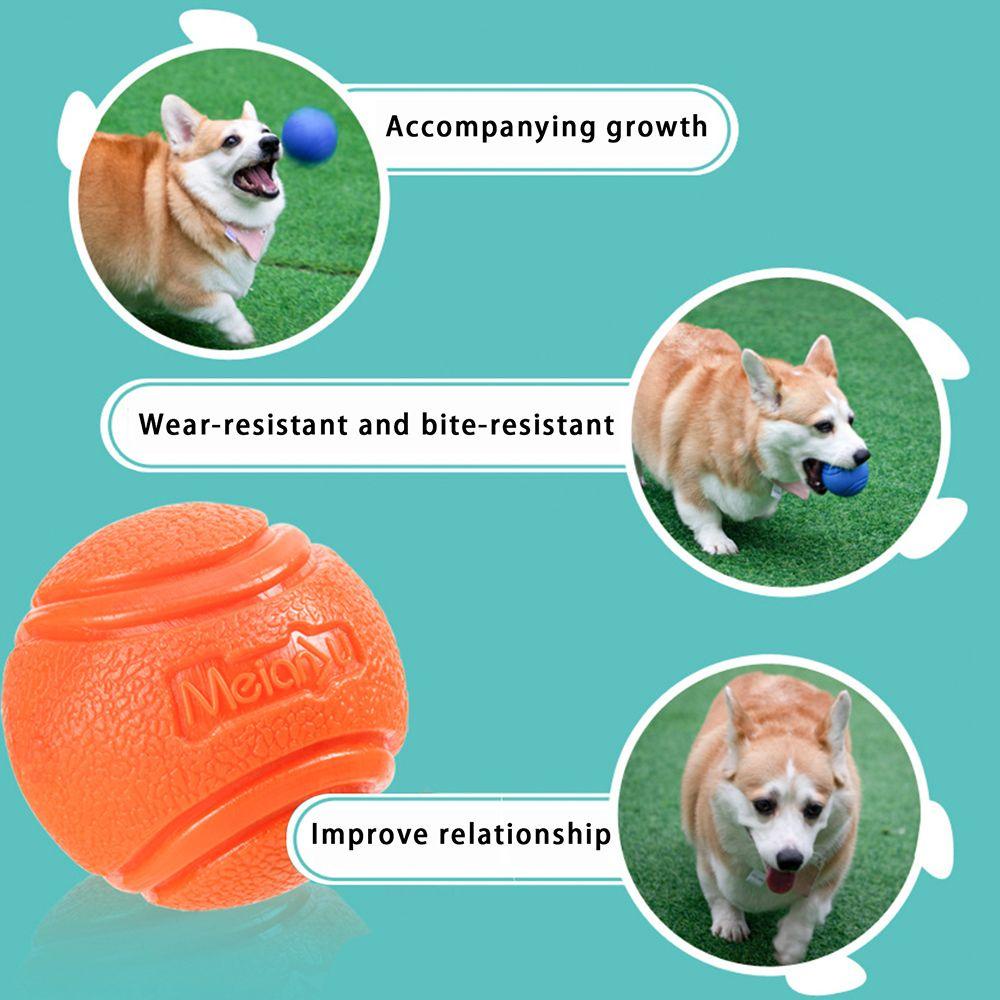 Quả Bóng Đồ Chơi Màu Trơn Độc Đáo Cho Thú Cưng