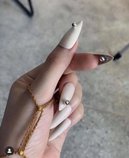 NAILBOX _ Móng dán 126