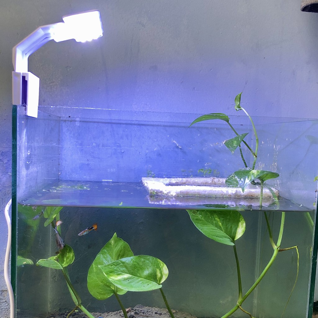 Đèn bể cá mini LED đen phù hợp cho bể cá mini