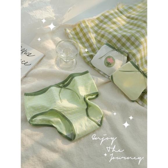 Quần Lót Nữ Softie Cotton Xanh Lưng Vừa Thoáng Khí Thoải Mái Cho Nữ 299