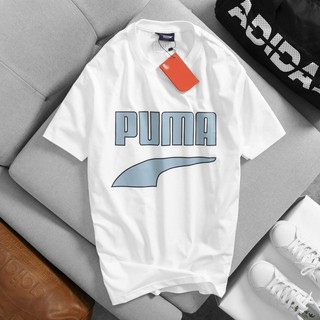 Áo thun Pm hàng VNXK cotton 4 chiều co giãn tốt - 3 màu cực đẹp - shop LA STORE