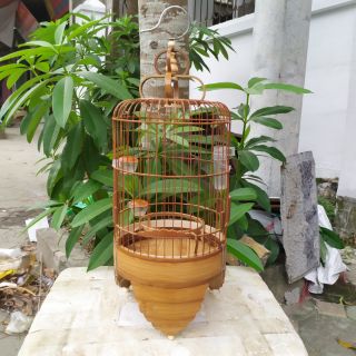 Lồng khuyên đủ phụ kiện đẹp