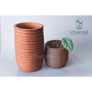 Chậu đất nung mật ong ống và mật ong 17cm