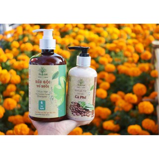 Combo gội xả trị rụng tóc 🍍FREESHIP🍍 Dầu gội trị rụng tóc, dầu xả trị rụng tóc