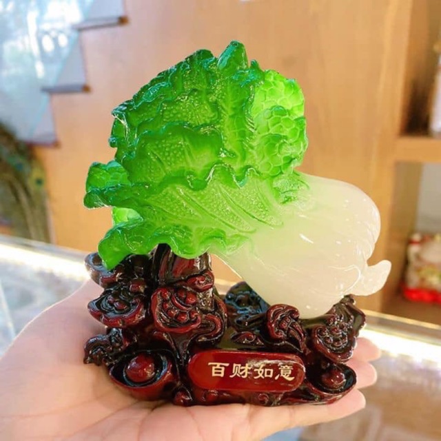 Bắp cải phong thuỷ