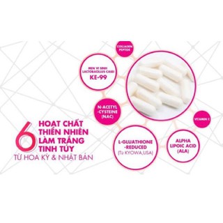 [FREESHIP]  ✅VIÊN UỐNG TRẮNG DA MỸ- PROBIO WHITE