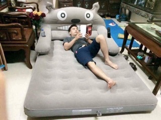Giường hơi hình thú ( tặng kèm bơm điện)