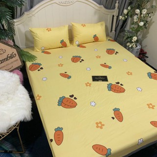 Vỏ gối ga chống thấm cotton Nano kháng khuẩn