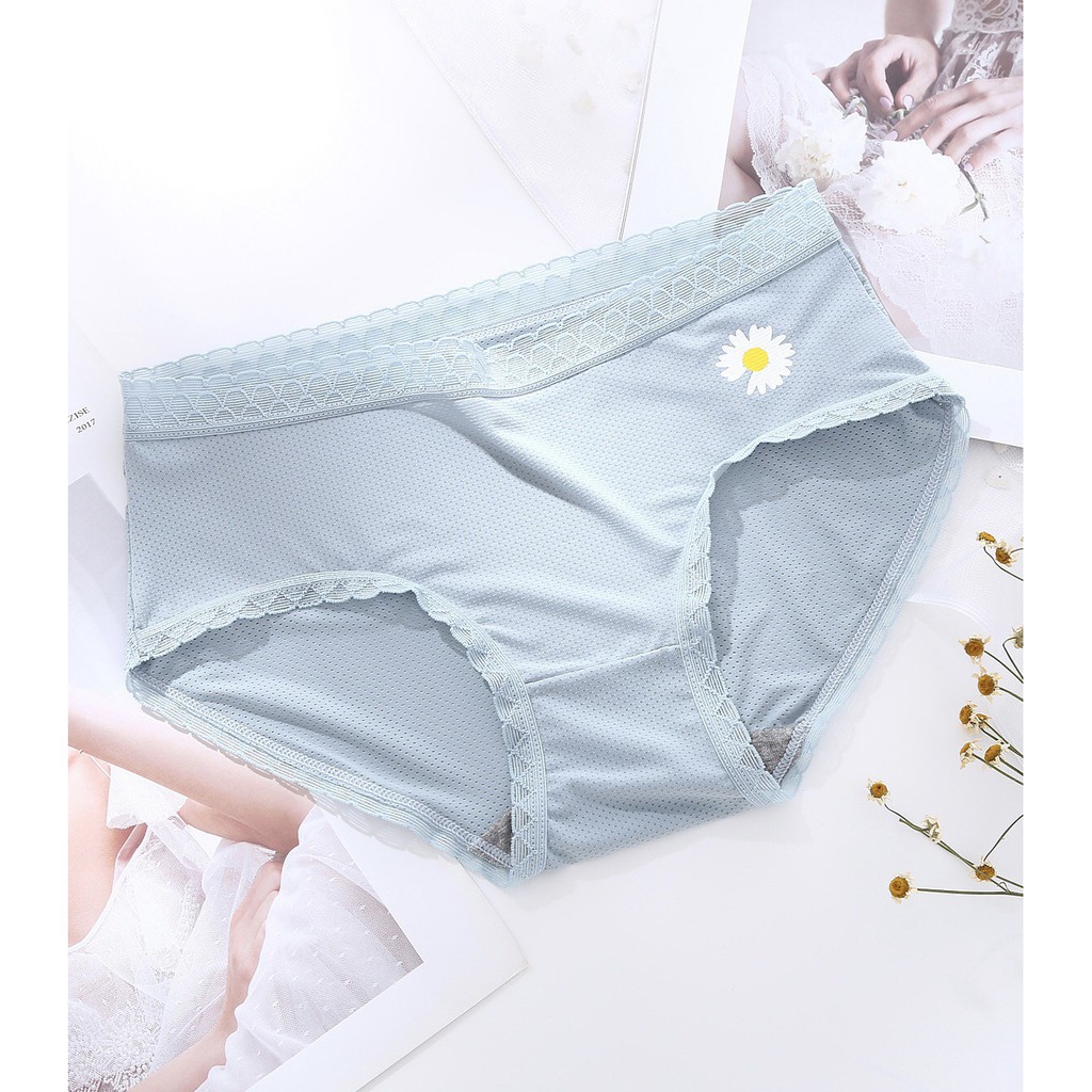 Quần Lót Nữ Su Đúc Thông Hơi Hoa Cúc Kháng Khuẩn Túi Zip Riêng Biệt - Quần Lót Nữ AirBra Kháng Khuẩn | BigBuy360 - bigbuy360.vn