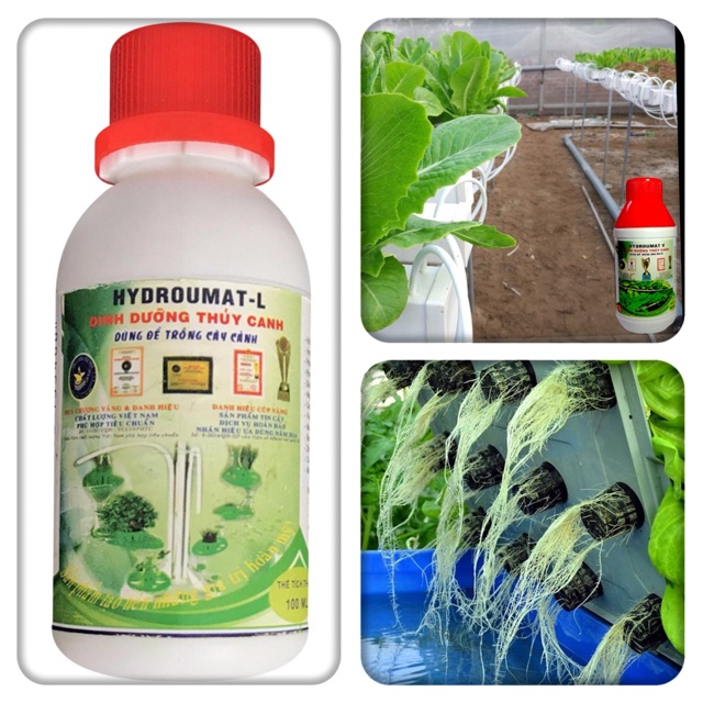 Phân Dung dịch dinh dưỡng thủy canh, Phân Thủy Sinh Cao Cấp (Tôt Cho Rau-Củ-Quả)