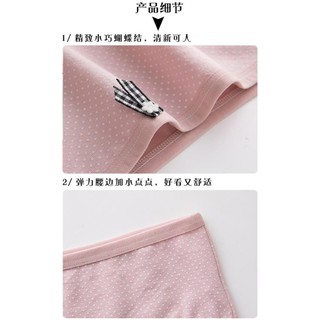 HÈ Quần chip cotton >> 💯 ་ new , ) !