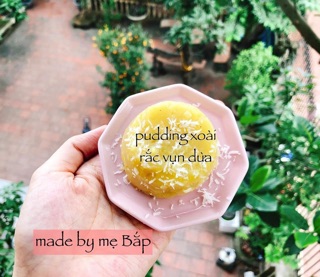 Bột làm Pudding Bio Ruf date 2021