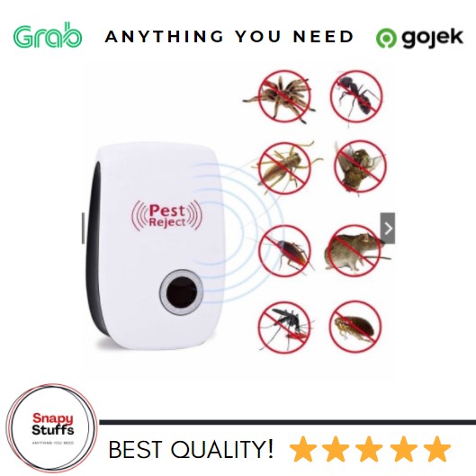 Mô Hình Côn Trùng 100% Mua 1 Get 1 | BigBuy360 - bigbuy360.vn