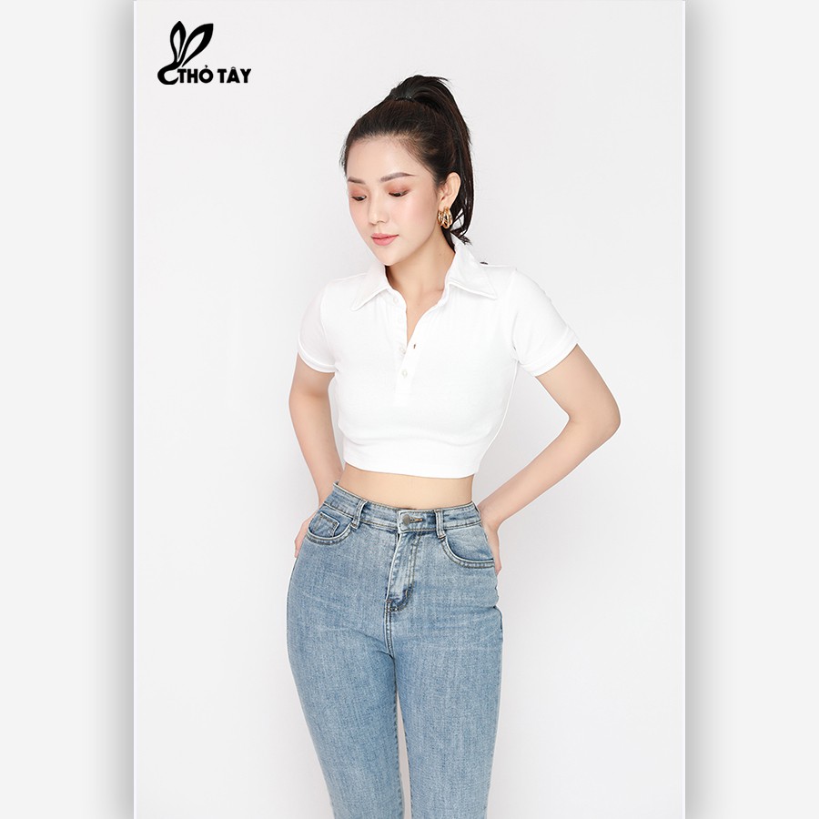 Áo thun croptop cổ bẻ THỎ TÂY A220B645