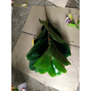 cây bàng singapo giả cảnh 50cm