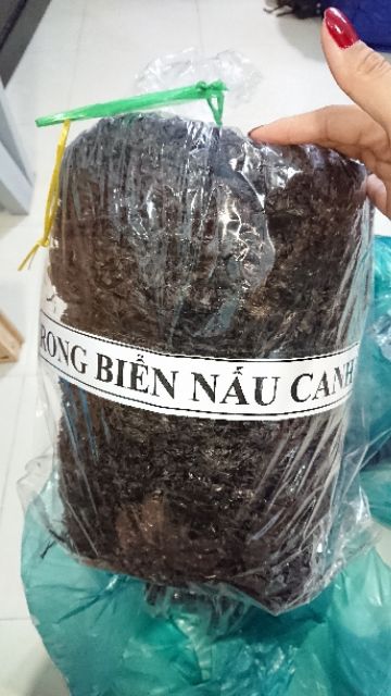 RONG BIỂN KHÔ NHA TRANG LOẠI NGON | BigBuy360 - bigbuy360.vn