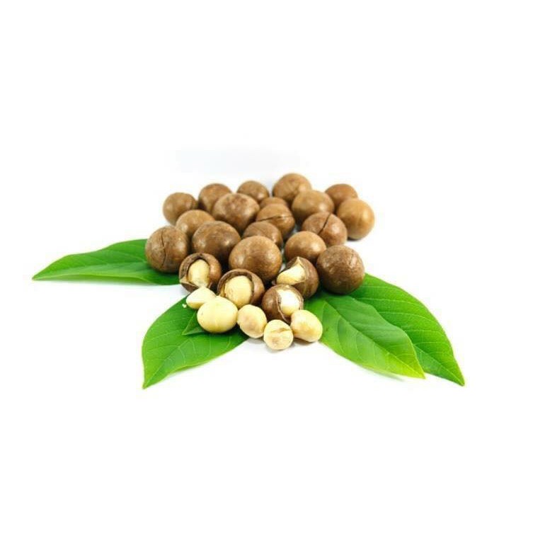 hạt Macadamia (mắc -ca)