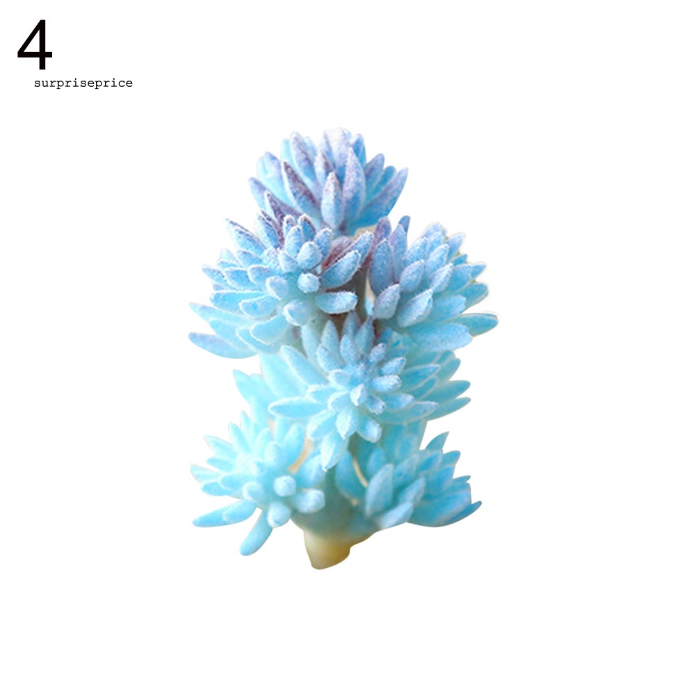 1 Cây Mọng Nước Nhân Tạo Dùng Cho Trang Trí