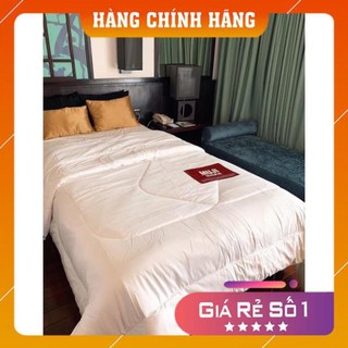 Ruột chăn bông Muji 2mx2m2