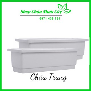 Chậu Nhựa Chữ Nhật Trung, Thông Minh Trồng Rau,Củ,Quả,Hoa