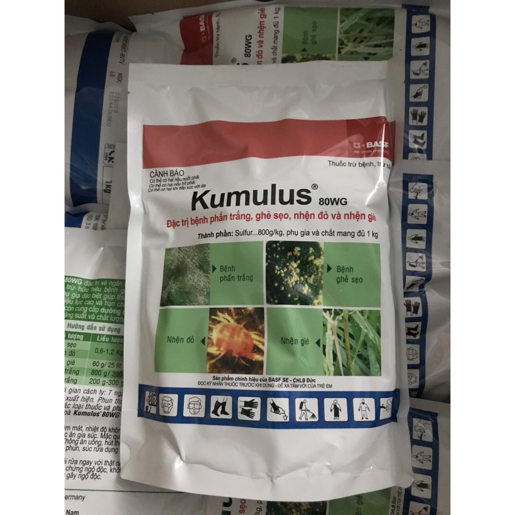 Thuốc trừ bệnh phấn trắng, ghẻ sẹo, nhện đỏ Kumulus 80WG