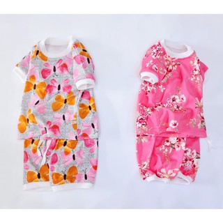 Bộ cotton thun bé gái cao cấp xuất Hàn họa tiết đáng yêu HM006B