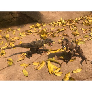 Khủng long bạo chúa Tyrannosaurus có video