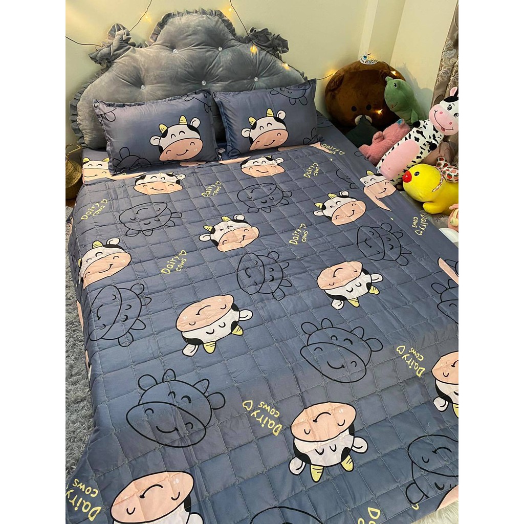 Sét bộ 5 món chăn ga vỏ gối cotton poly - đủ size, đủ kích thước