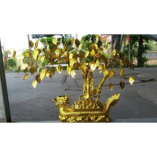 Cây thần tài
