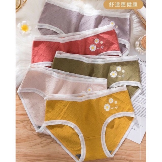 MỚI NHẤT*Quần lót cotton thông hơi cúc họa mi kháng khuẩn