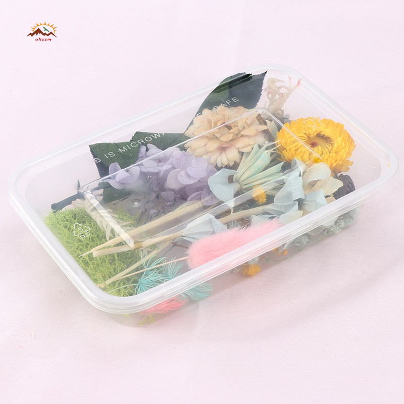 Hoa Ép Khô Dùng Trang Trí DIY