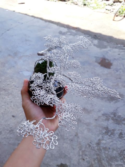 Cây bonsai kẽm bọc bạc vĩnh cửu.