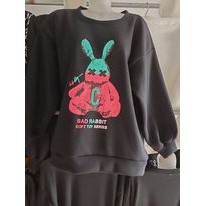 Áo Nỉ - Áo Sweater Unisex Nam Nữ In Thỏ 7 Màu Chất Nỉ Cotton Da Cá Dày Dặn Hotton 2021 - HD01248 | BigBuy360 - bigbuy360.vn