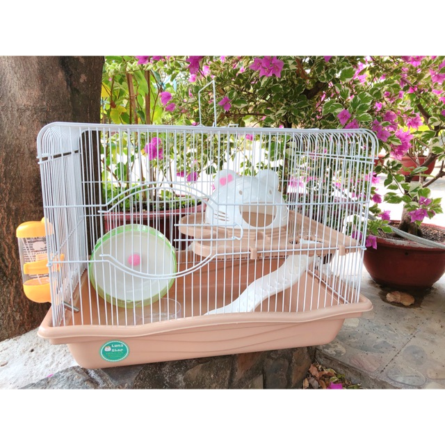 Lồng mèo dayang, bigsize, lồng nuôi hamster