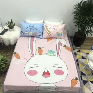 Bộ ga gối cotton 3D cho bé