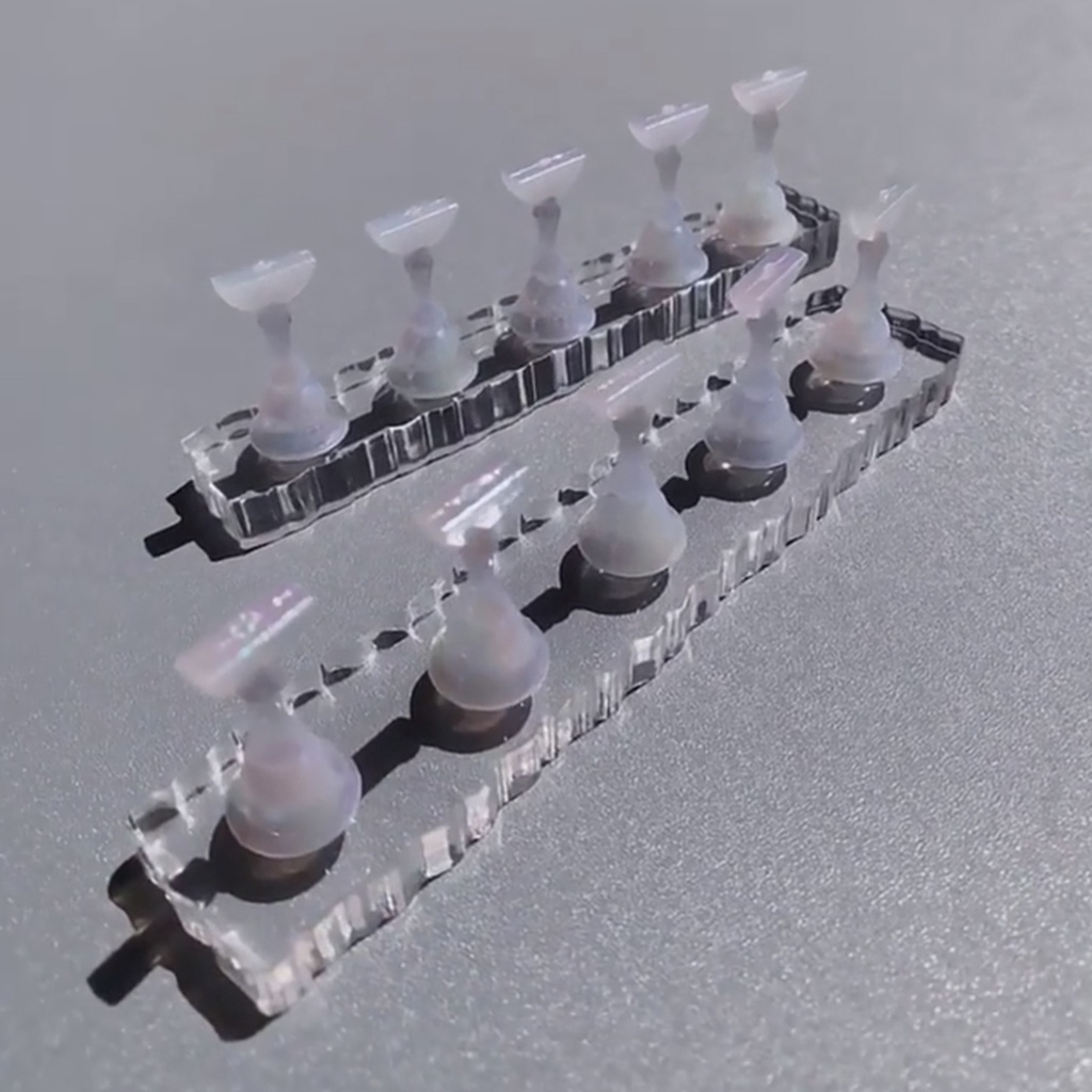 Giá Đỡ Trưng Bày Móng Tay Gọn Nhẹ Bền Bỉ Có Thể Tái Sử Dụng